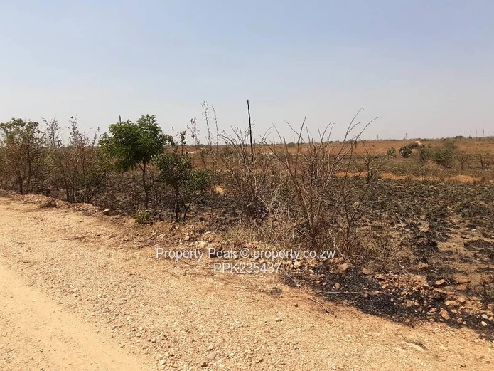 Nyabira rosewood stand  for sale