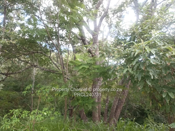 Residential Stand in Glen Lorne meauring 5118 sqm with Title Deeds 