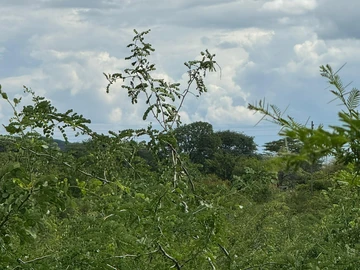 Commercial & Industrial Land