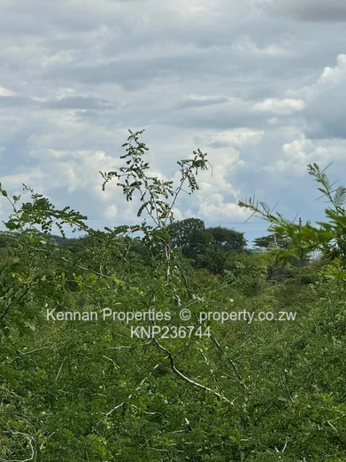 Vacant Industrial Site on 80 936 square metres