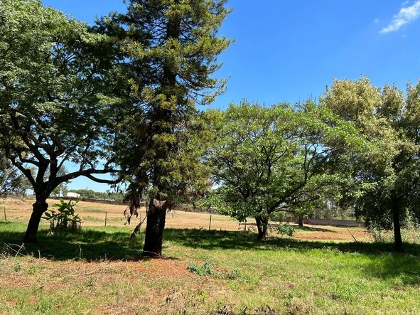 Farm & Agricultural Land