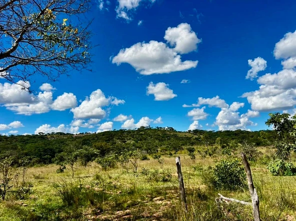 Farm & Agricultural Land
