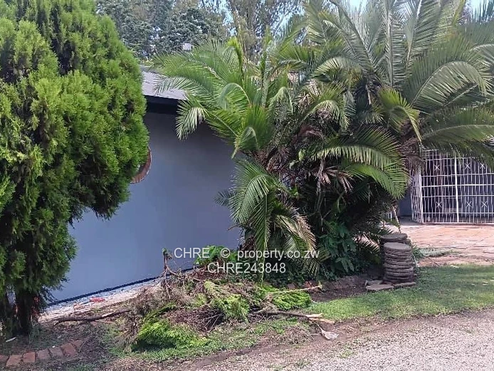 Belgravia Prime Retail Office