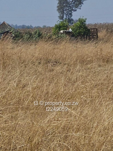 10 Hectares Prime Arable Land for Sale – Nyabira 