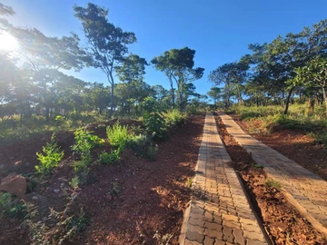 Stands & Residential Land