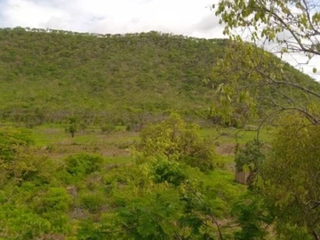 Farm & Agricultural Land