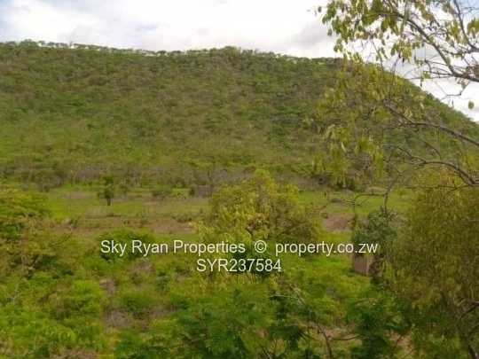 Prime Agro Plots for sale in Shamva