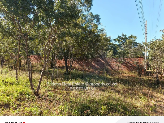 Awesoment investment