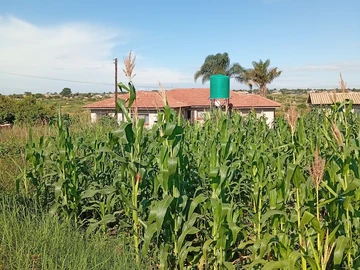 Stands & Residential Land