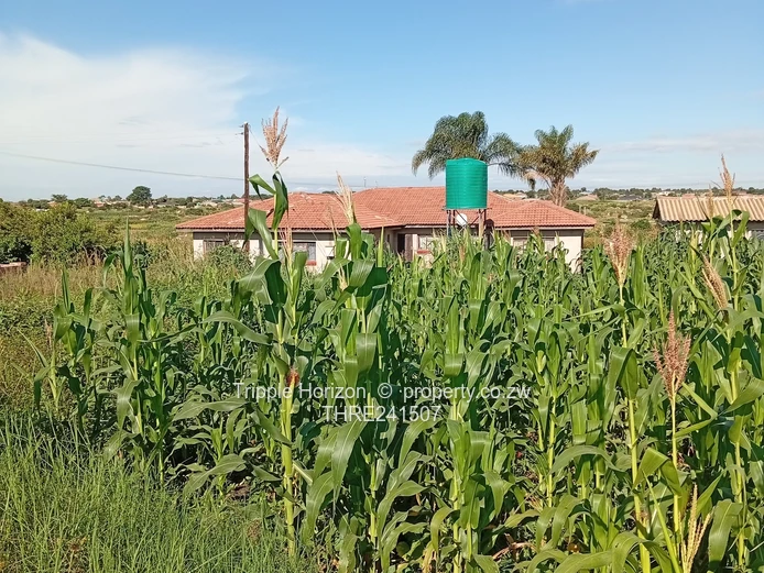 590m² Sewered Stand with Main Road Frontage, Damofalls