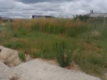 Stands & Residential Land