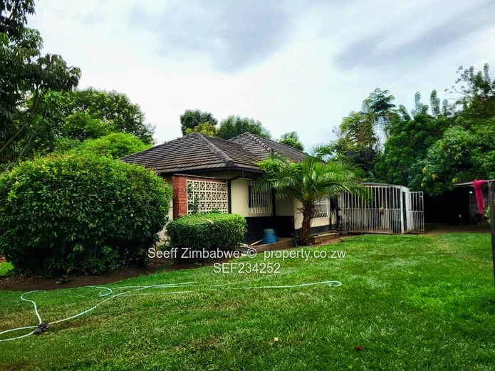 Spacious 4-Bedroom Family Home in Marlborough Needing TLC!