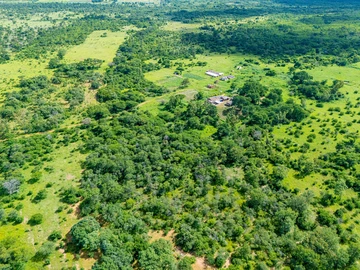 Farm & Agricultural Land