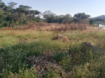 Farm & Agricultural Land