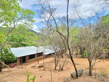 Farm & Agricultural Land