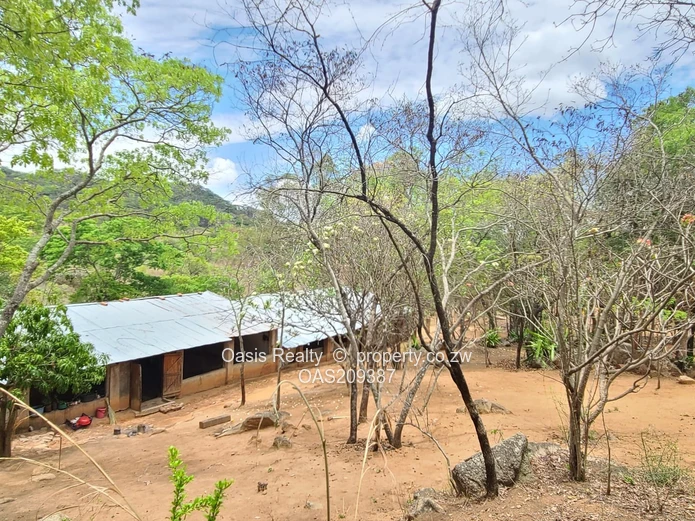 Agro-residential plot for sale in Christon Bank 