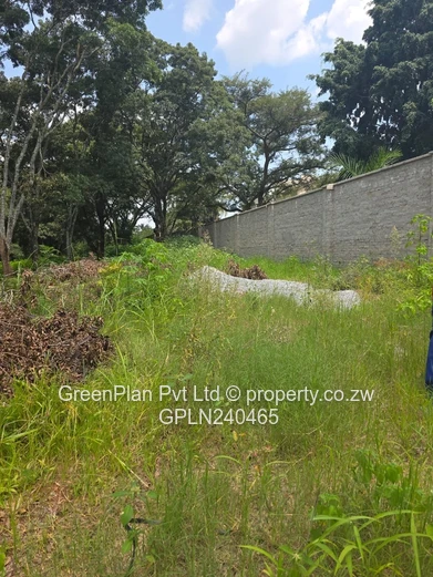 Prime Land for Sale – Borrowdale Quinnington