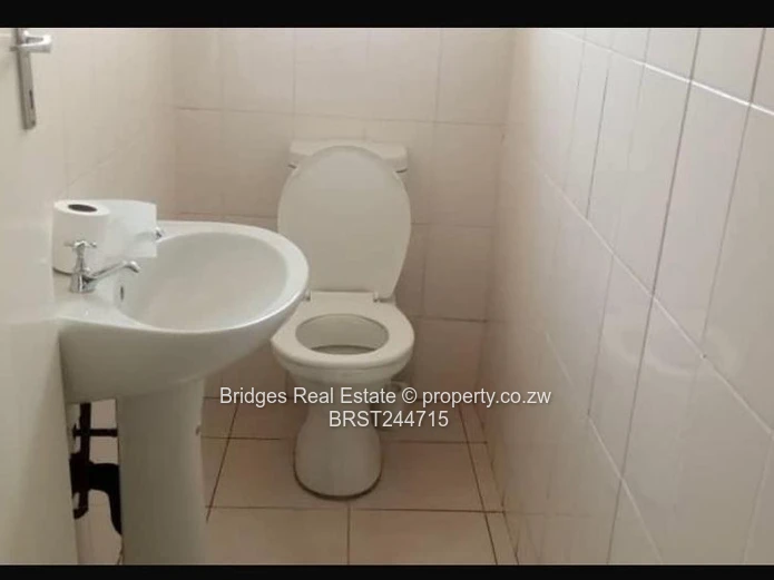 Available this coming May