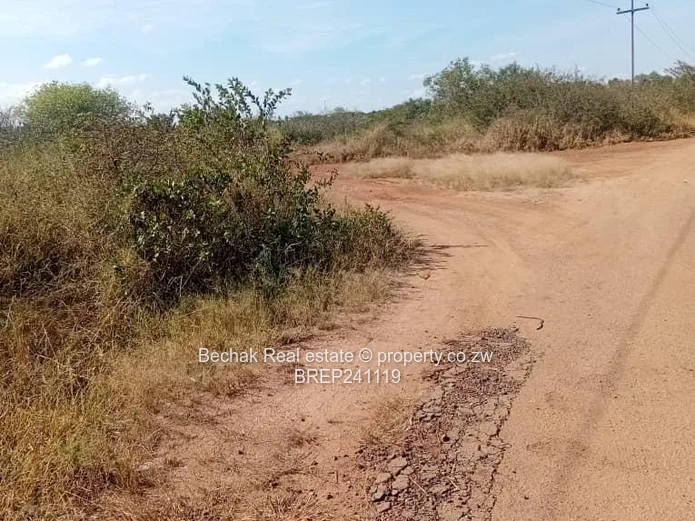 43-Acre Riverside South: Subdivision Potential, Gravel Road