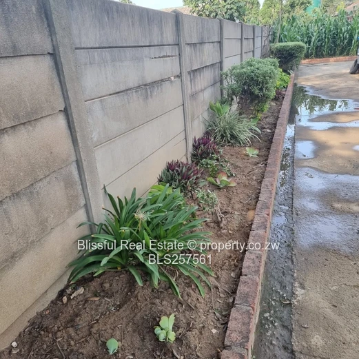3 Bedroomed house for Rent in Msasa park