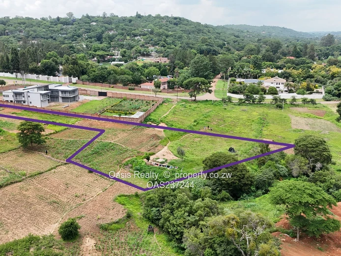 Prime Glen Lorne Panhandle Infill Stand for Sale