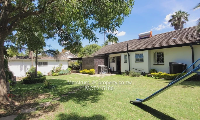 Absolutely immaculate! (Sole Mandate)