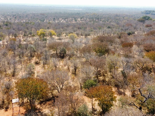 Commercial & Industrial Land