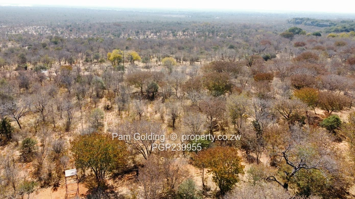 Prime Development Land on the Victoria Falls Game Corridor (Sole Mandate)