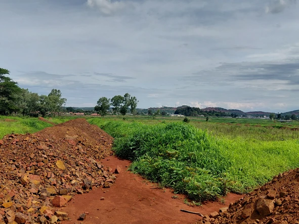 Stands & Residential Land