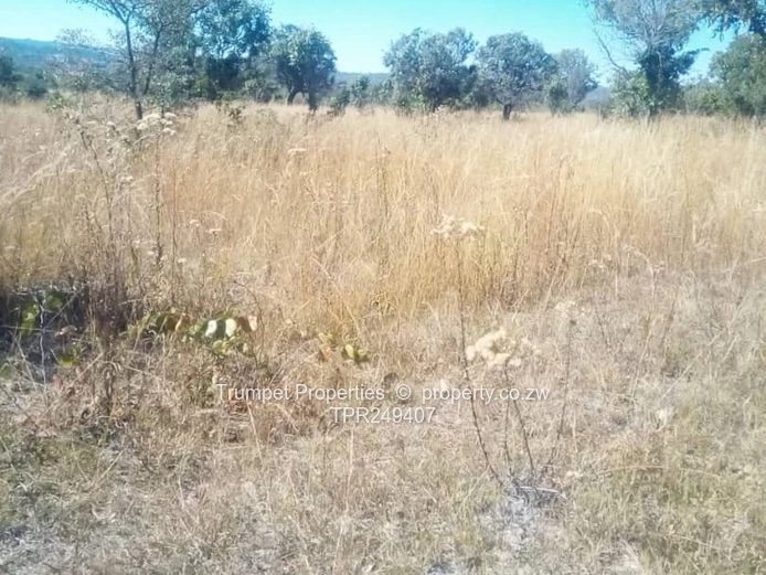 21ha Goromonzi Farm for Rent - Open Veld & Scattered Trees (Sole Mandate)