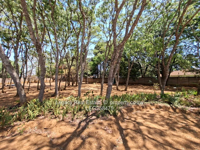 Spacious house to let  (Sole Mandate)