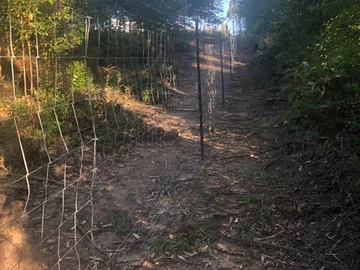 Farm & Agricultural Land