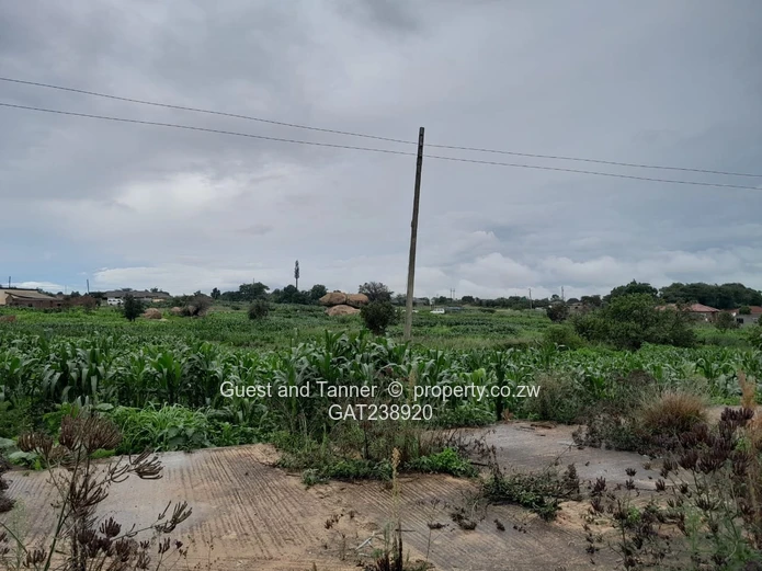 Negotiable Prime Opportunity In Damofalls Land For Sale 