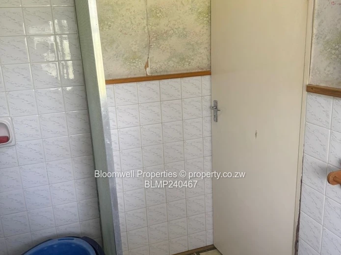 Renovators Dream With Huge Potential