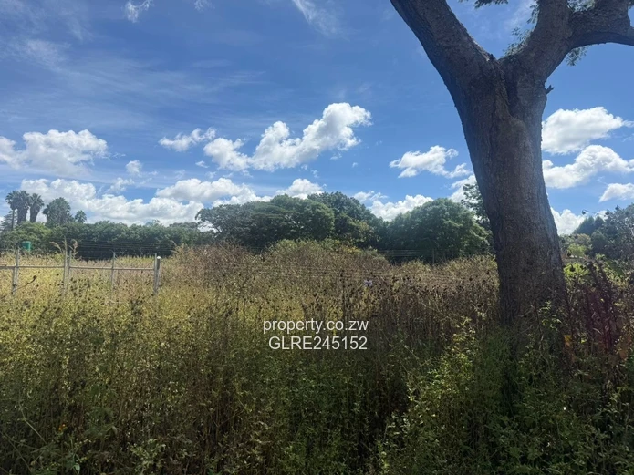 Prime 3,700m² Greystone Park Stand — Subdivision Ready