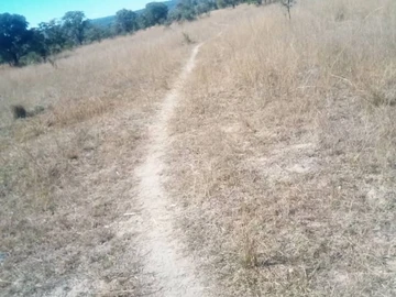 Farm & Agricultural Land