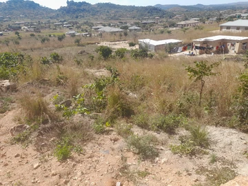 Crowhill Palm Village area 