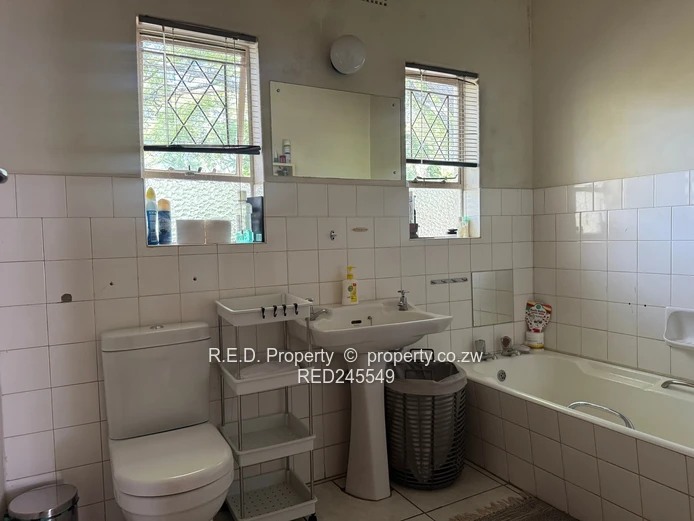 Business and Executive