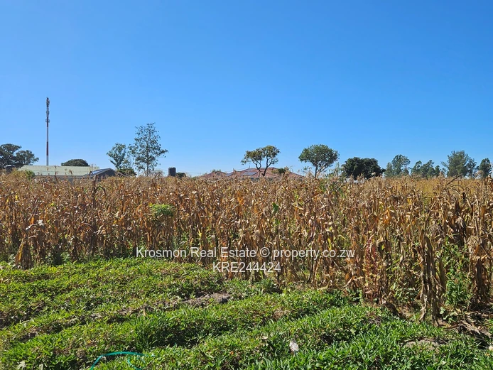 Open Grassy 2084m² Stand — Main Road Frontage, Airport