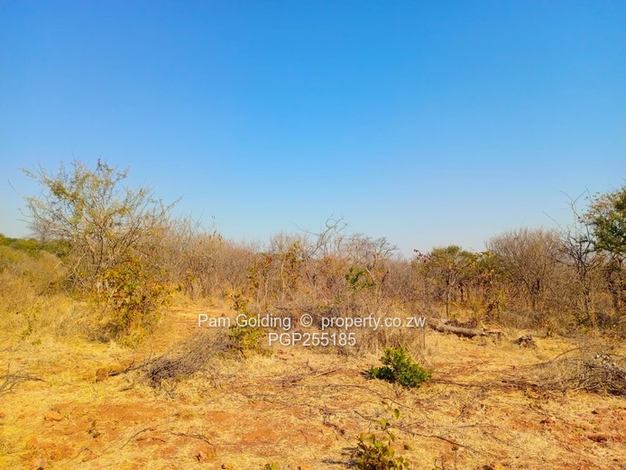 Prime 2,600sqm Residential Stand for Sale   (Sole Mandate)