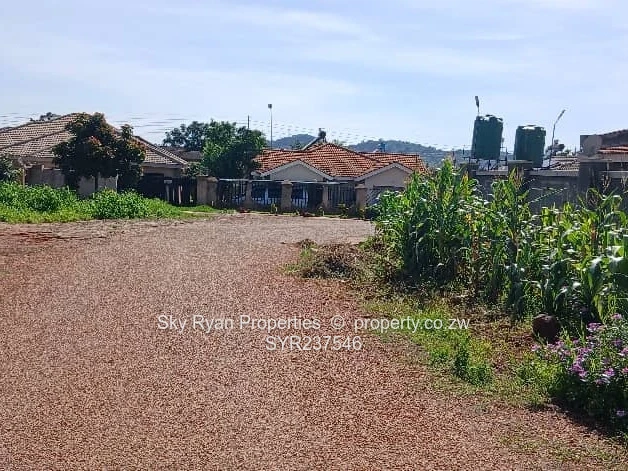 Cold Comfort Stand For Sale 