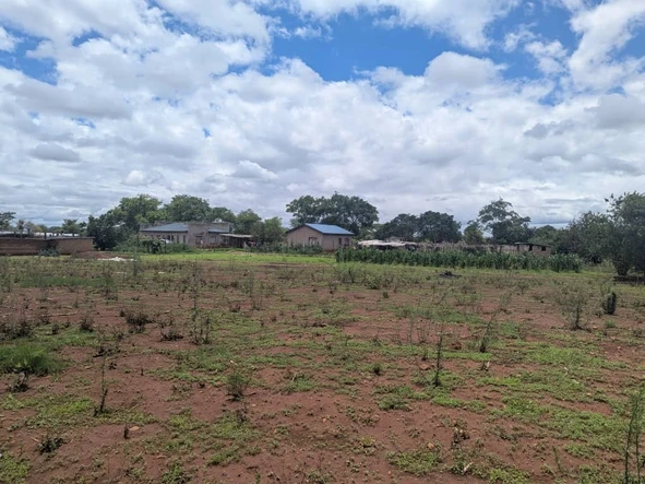 Commercial & Industrial Land