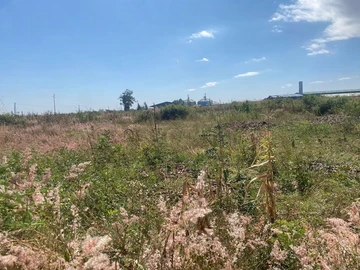 Commercial & Industrial Land