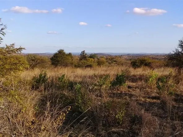 Farm & Agricultural Land