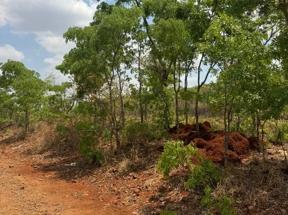 Farm & Agricultural Land