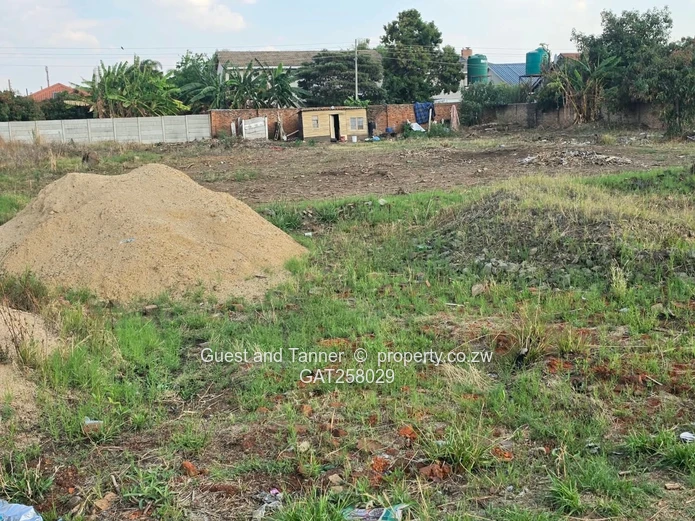A Choice Of 2 Stands For Sale In Westgate
