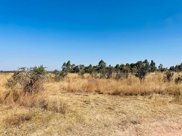 Farm & Agricultural Land