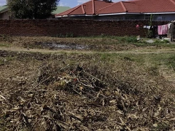 Stands & Residential Land