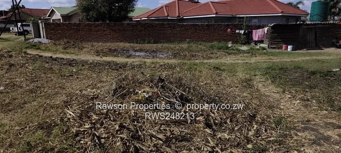 Tynwald west near Madokero stand for sale