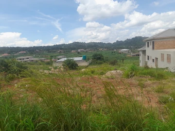 Crowhill Palm Village 